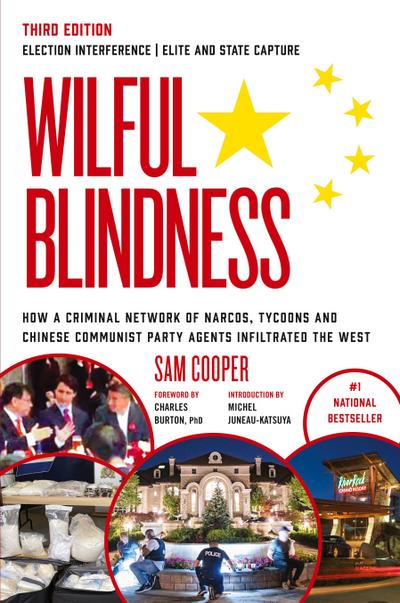 Wilful Blindness Election Interference | Elite and State Capture