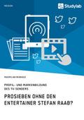 ProSieben ohne den Entertainer Stefan Raab? Profil