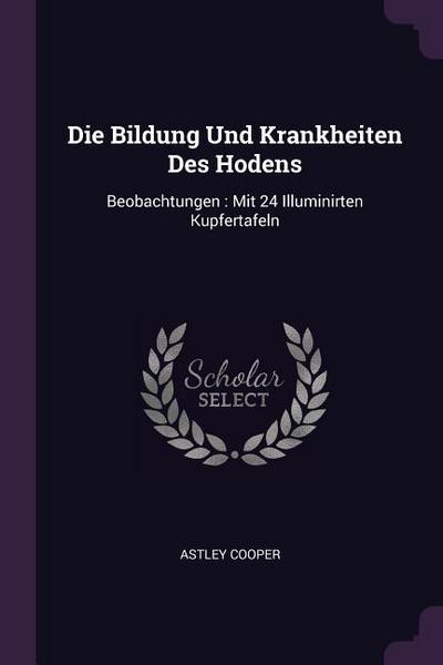 Die Bildung Und Krankheiten Des Hodens