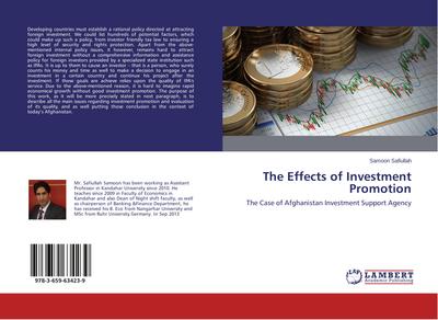 The Effects of Investment Promotion