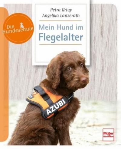 Mein Hund im Flegelalter