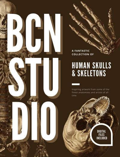 Human Skulls & Skeletons (BCN Studio Illustrations)