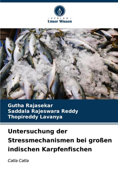 Untersuchung der Stressmechanismen bei großen indischen Karpfenfischen