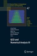 QCD and Numerical Analysis III