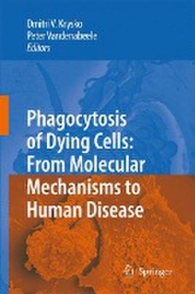 Phagocytosis of Dying Cells