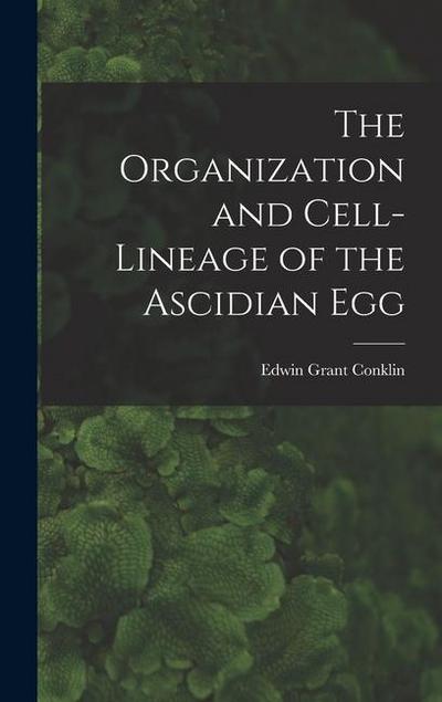 The Organization and Cell-lineage of the Ascidian Egg