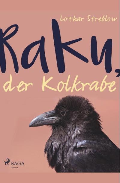 Raku, der Kolkrabe