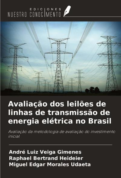 Avaliação dos leilões de linhas de transmissão de energia elétrica no Brasil