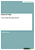 Neuronale Reorganisation