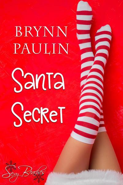 Santa Secret (Daly Way, #8)