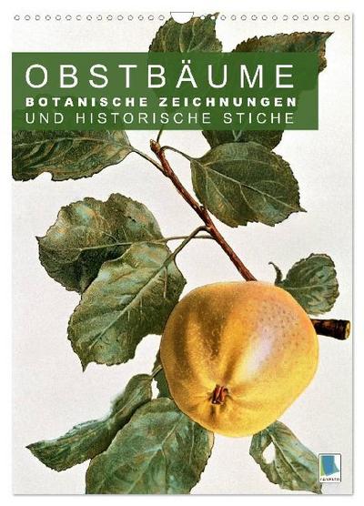 Obstbäume: Botanische Zeichnungen und historische Stiche (Wandkalender 2027 DIN A3 hoch), CALVENDO Monatskalender