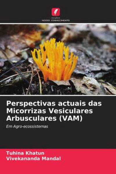 Perspectivas actuais das Micorrizas Vesiculares Arbusculares (VAM)