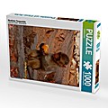 Niedliche Tierporträts (Puzzle)
