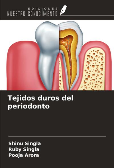 Tejidos duros del periodonto