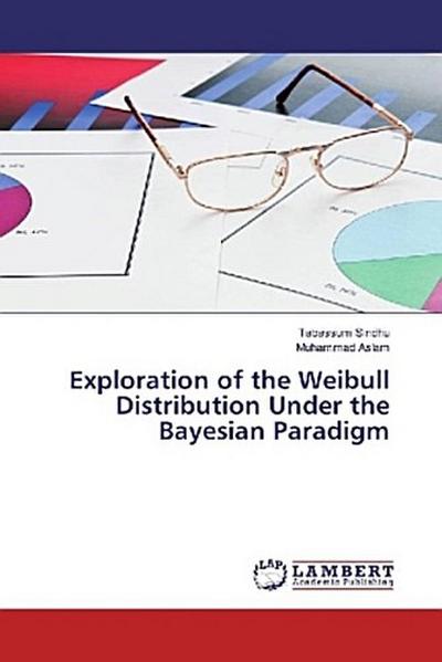 Exploration of the Weibull Distribution Under the Bayesian Paradigm