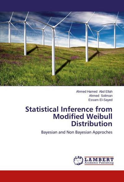 Statistical Inference from Modified Weibull Distribution
