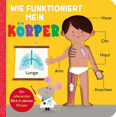 Wie funktioniert mein Körper