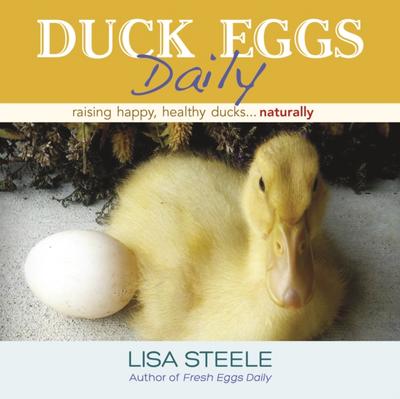 Duck Eggs Daily