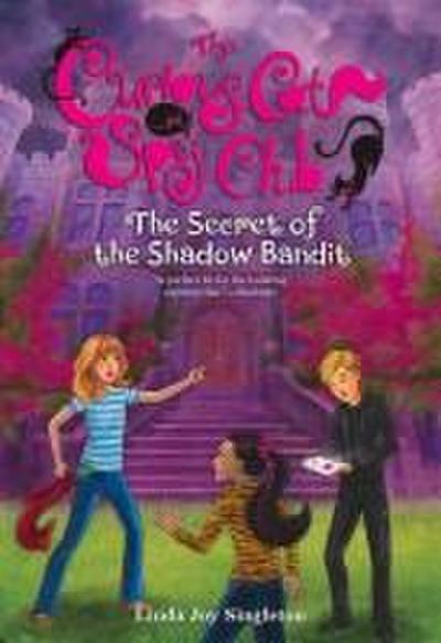 The Secret of the Shadow Bandit
