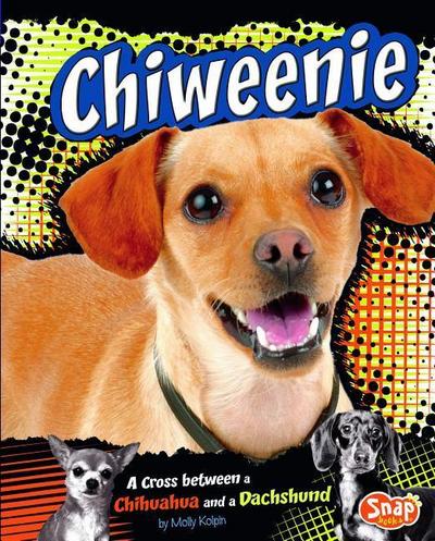Chiweenie