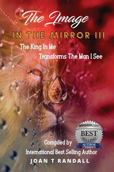 THE IMAGE IN THE MIRROR III