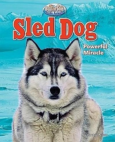 Sled Dog