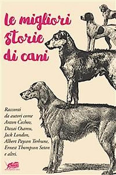 Le migliori storie di cani
