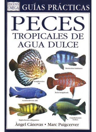 Peces tropicales de agua dulce