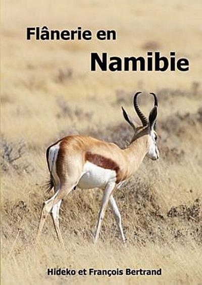 Flânerie en Namibie
