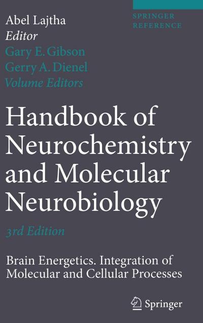 Brain Energetics. Integration of Molecular and Cellular Processes