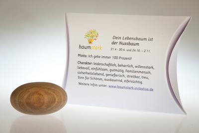 Baumstark Nussbaum 45mm mit Baumhoroskop (21.4-30.4. und 24.10. -2.11.) Handschmeichler, Holz, 8 x 11.5 x 2.8 cm