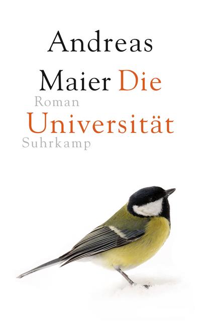 Die Universität