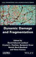Dynamic Damage and Fragmentation