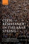 Civil Resistance in the Arab Spring