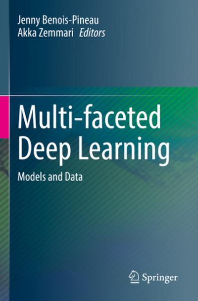 Multi-faceted Deep Learning