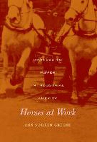Horses at Work - Harnessing Power in Industrial America