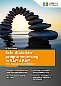 Schnittstellenprogrammierung in SAP ABAP