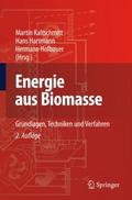 Energie aus Biomasse