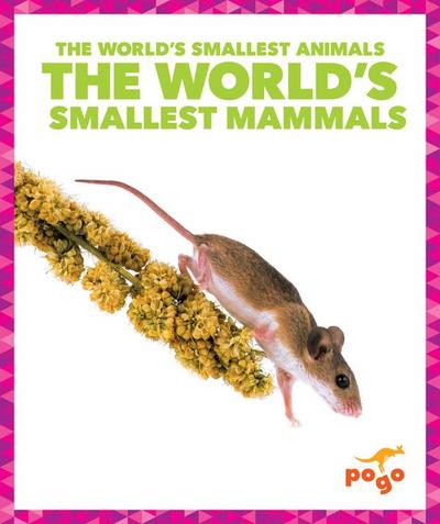 The World’s Smallest Mammals