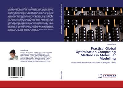 Practical Global Optimization Computing Methods in Molecular Modelling