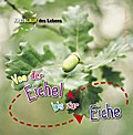 Von der Eichel bis zur Eiche