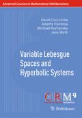 Variable Lebesgue Spaces and Hyperbolic Systems