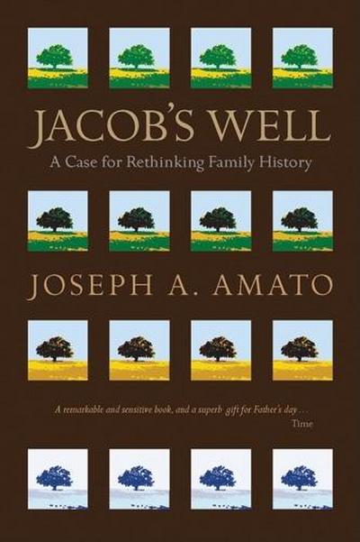 Jacob’s Well (eBook, EPUB) - Joseph Amato
