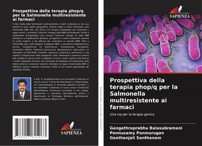 Prospettiva della terapia phop/q per la Salmonella multiresistente ai farmaci