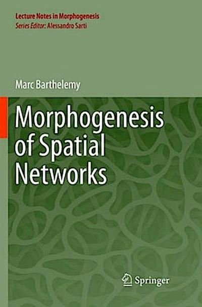 Morphogenesis of Spatial Networks