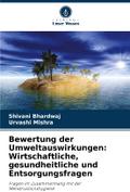 Bewertung der Umweltauswirkungen: Wirtschaftliche, gesundheitliche und Entsorgungsfragen