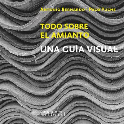 Todo sobre el amianto : una guía visual