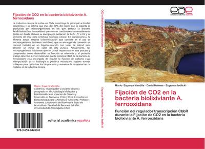 Fijación de CO2 en la bacteria biolixiviante A. ferrooxidans