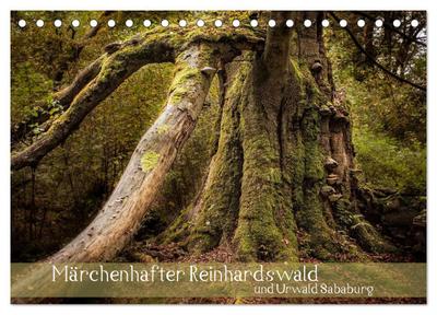 Märchenhafter Reinhardswald und Urwald Sababurg (Tischkalender 2026 DIN A5 quer), CALVENDO Monatskalender