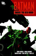 Batman: Under the Red Hood by Judd Winick Paperback | Indigo Chapters